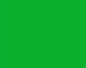 Rouleau de papier de fond Chromakey Green - SBP10