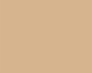 Paper Background Roll Beige – SBP15